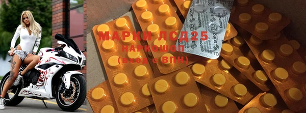 apvp Володарск